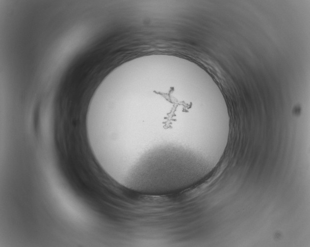 X0000116610429201001221323