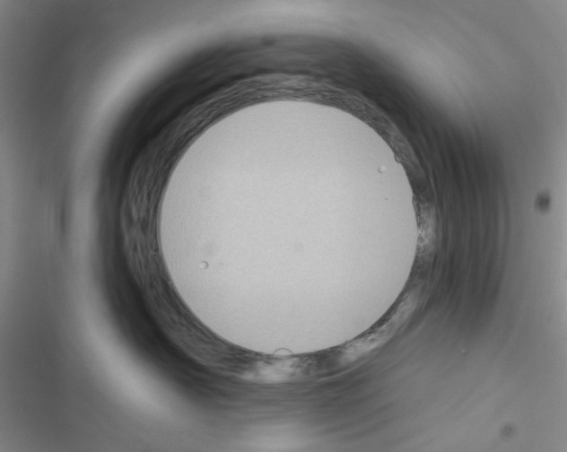 X0000116610430201001221323