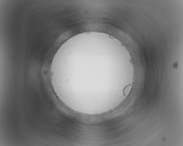 X0000116610431201001221323