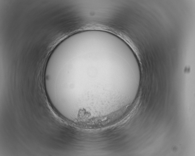 X0000116610433201001221322