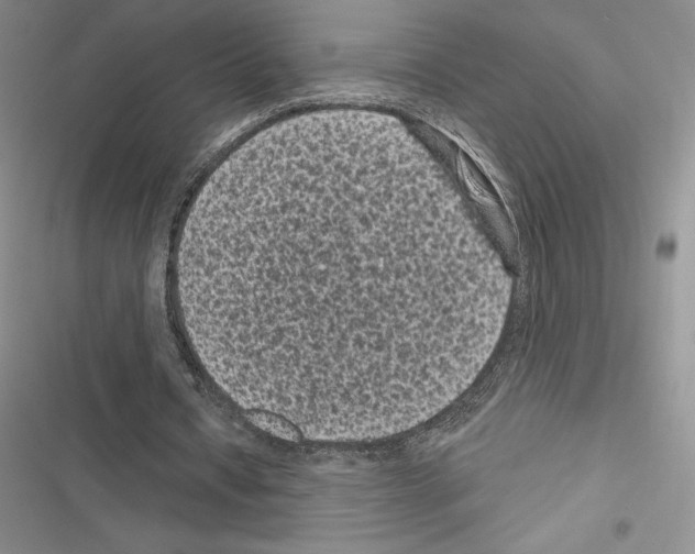 X0000116610434201001221322