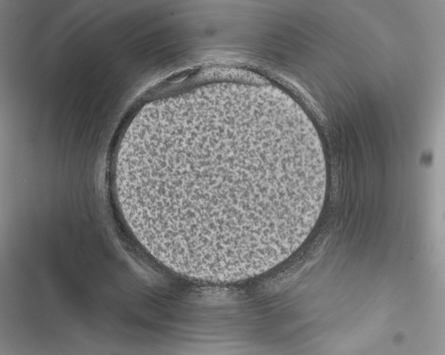 X0000116610439201001221322