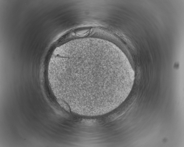 X0000116610440201001221322