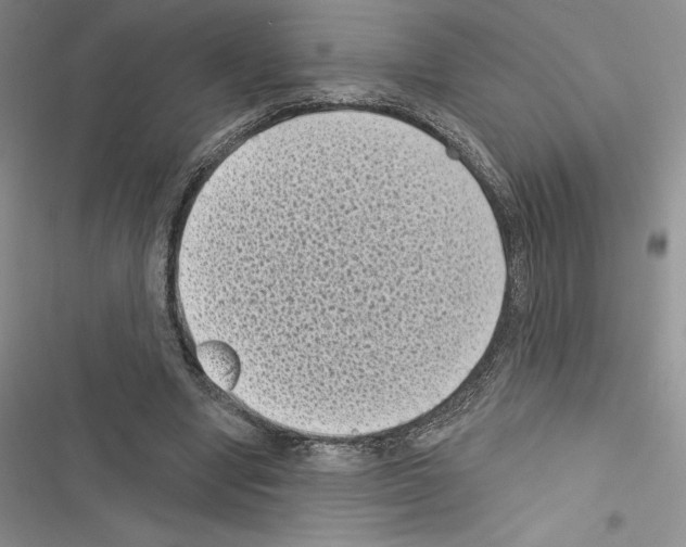 X0000116610442201001221322