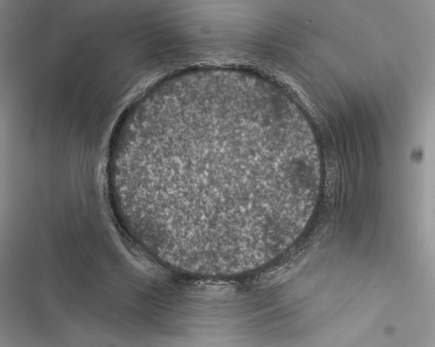 X0000116610443201001221322