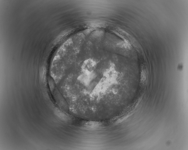 X0000116610444201001221322