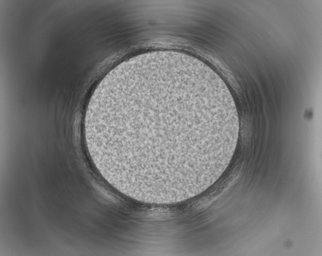 X0000116610445201001221322