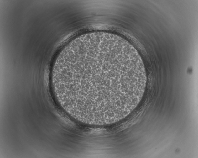 X0000116610446201001221322