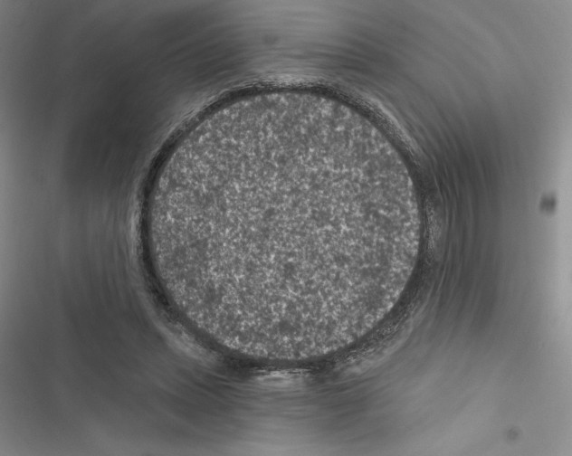 X0000116610447201001221322