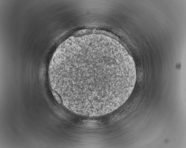 X0000116610448201001221322