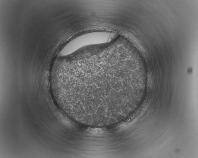 X0000116610449201001221322