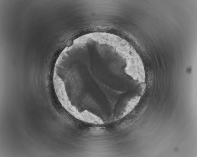 X0000116610451201001221322