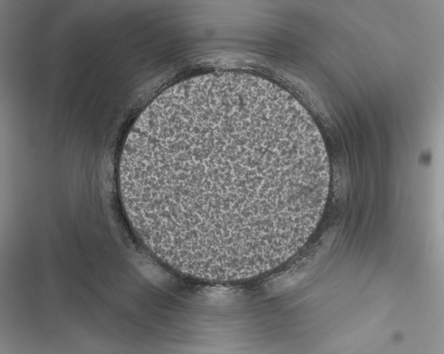 X0000116610453201001221322