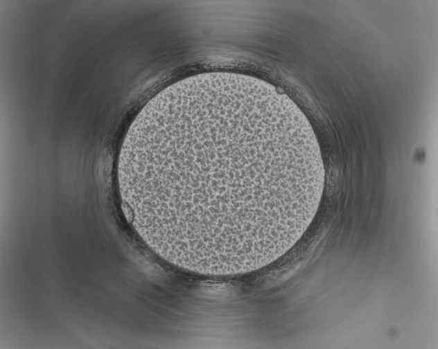 X0000116610454201001221322