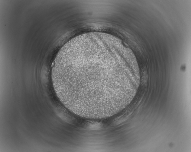 X0000116610456201001221322