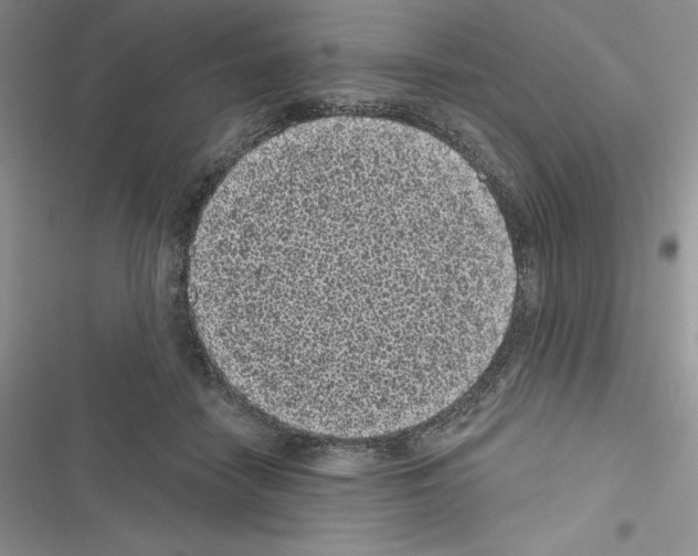 X0000116610458201001221322