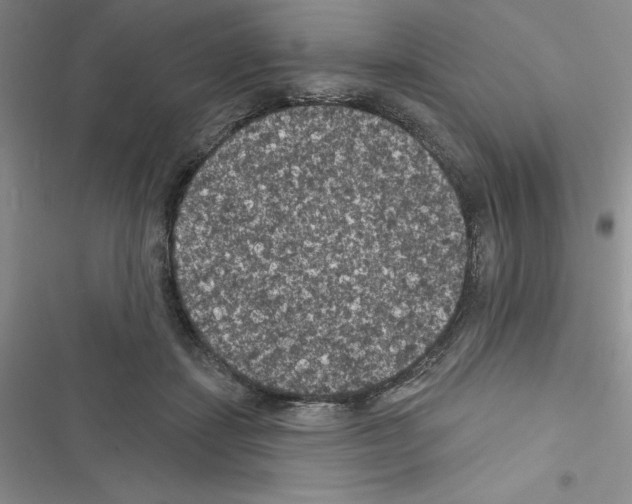 X0000116610459201001221322