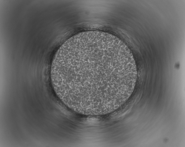 X0000116610462201001221322