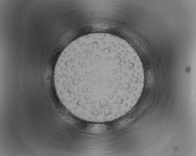 X0000116610463201001221322