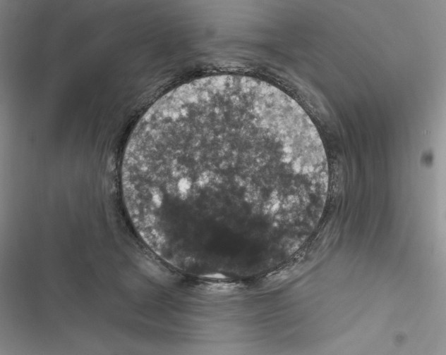 X0000116610465201001221322