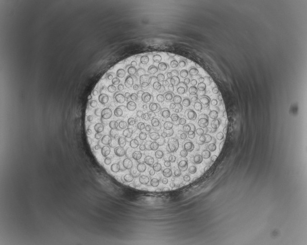 X0000116610466201001221322