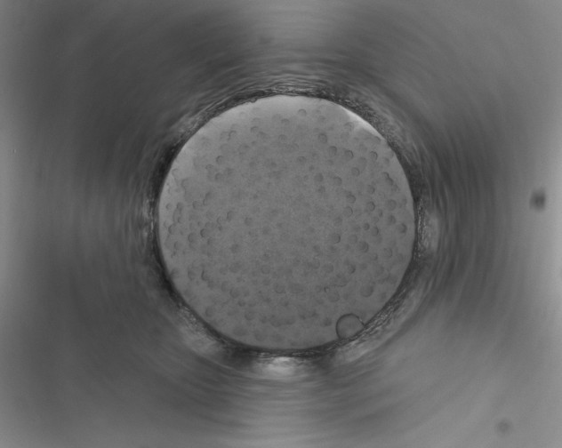 X0000116610467201001221322