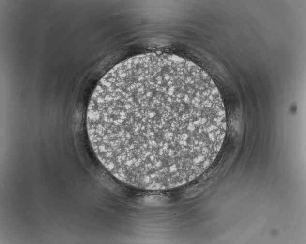 X0000116610468201001221322