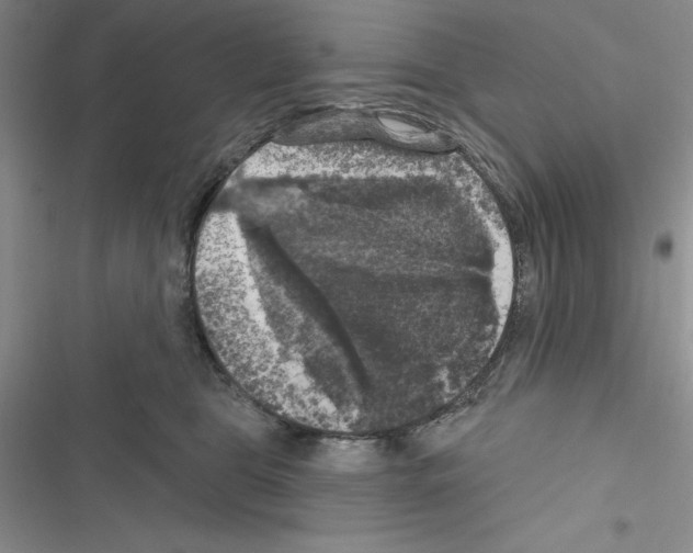 X0000116610469201001221322