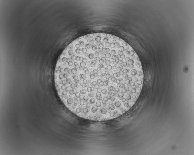 X0000116610470201001221322