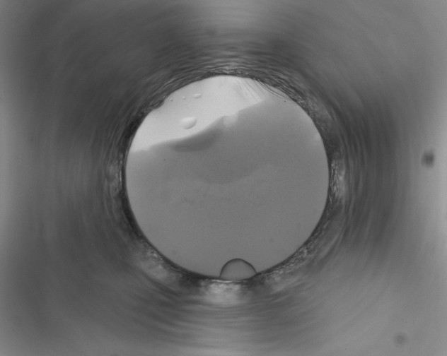 X0000116610471201001221322