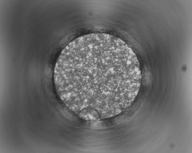 X0000116610472201001221322