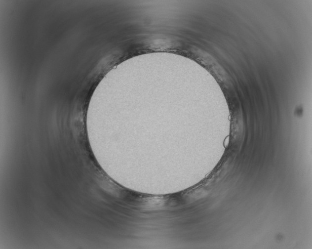 X0000116610473201001221322