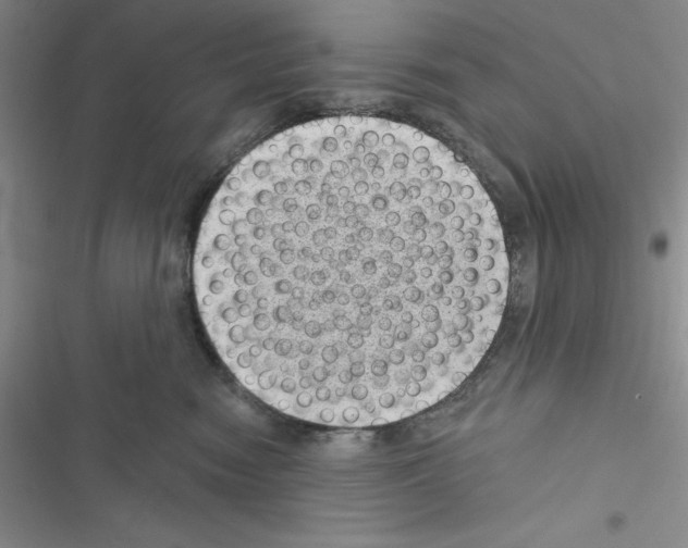 X0000116610474201001221322