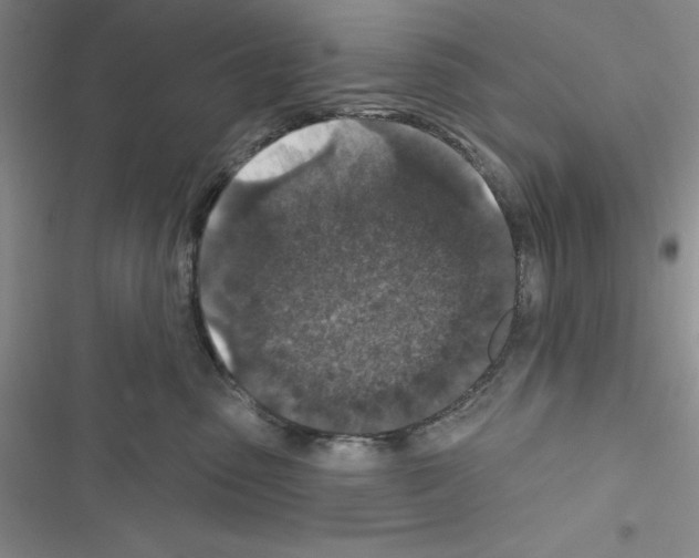 X0000116610475201001221322