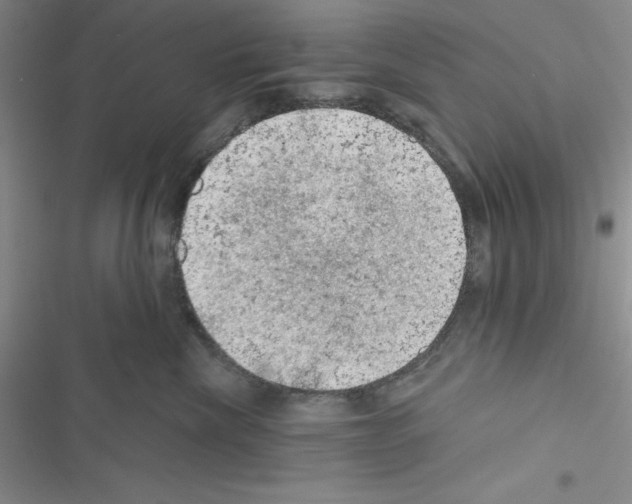 X0000116610476201001221323