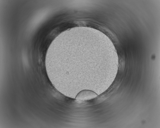 X0000116610477201001221323