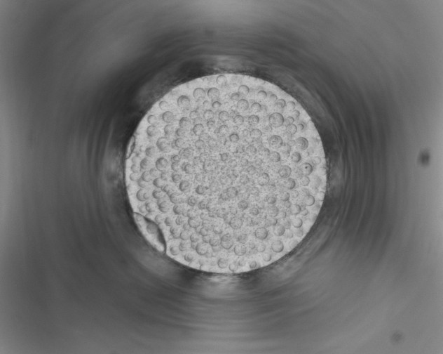 X0000116610478201001221323