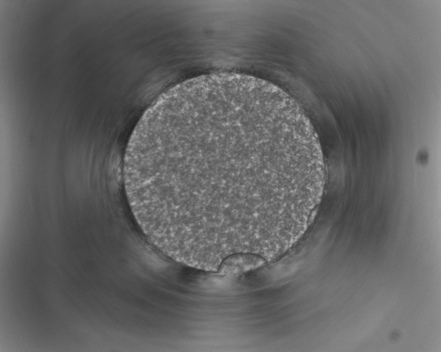 X0000116610479201001221323