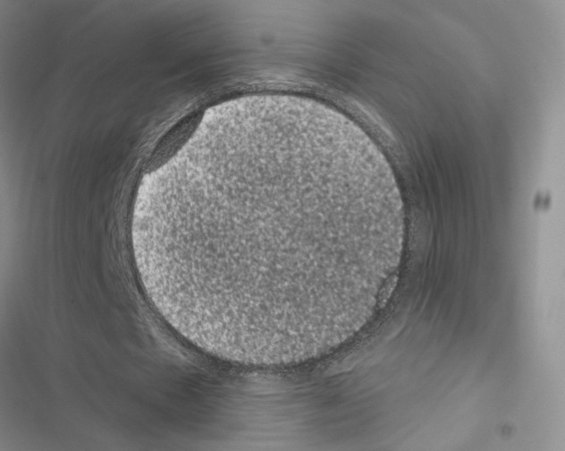 X0000116610481201001221322