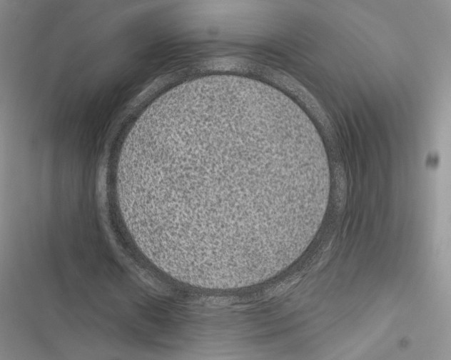 X0000116610482201001221322