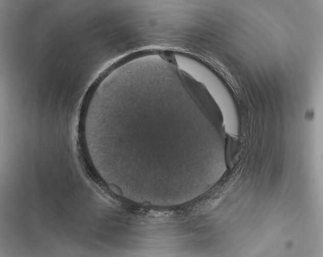 X0000116610484201001221322