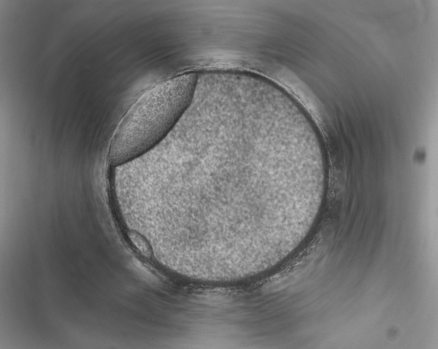 X0000116610485201001221322