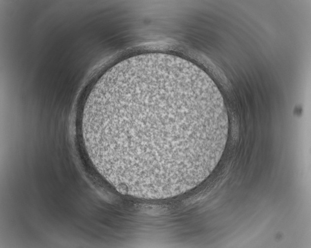 X0000116610486201001221322