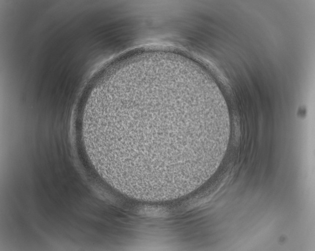 X0000116610487201001221322