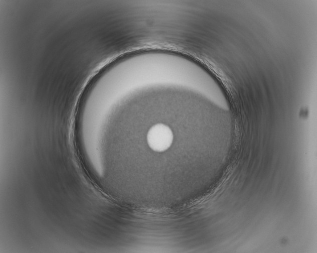 X0000116610488201001221322