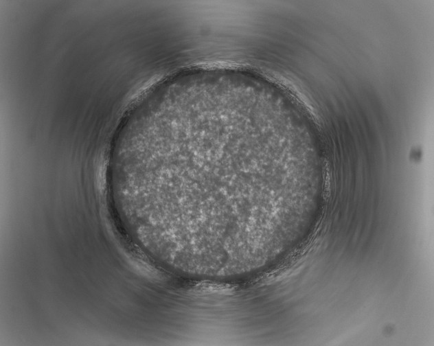 X0000116610491201001221322