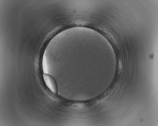 X0000116610492201001221322