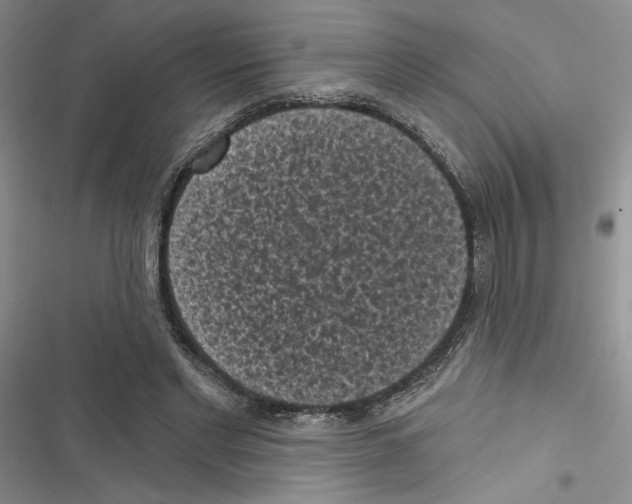 X0000116610493201001221322