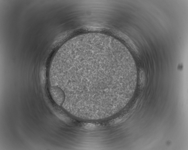 X0000116610494201001221322