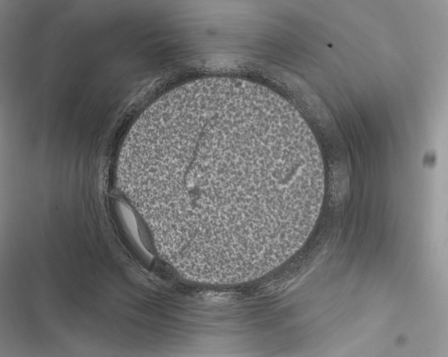 X0000116610495201001221322